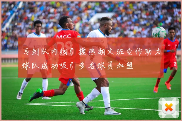 马刺队内线引援热潮文班合作助力球队成功吸引多名球员加盟