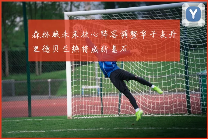 森林狼未来核心阵容调整华子麦丹里德贝兰热将成新基石